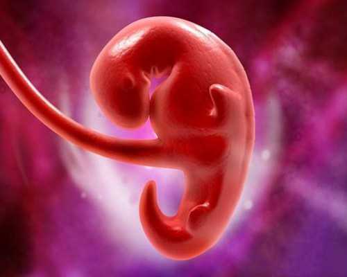 子宫切除不怀孕_染色体异常试管养,闭经，卵巢早衰能做试管婴儿吗？【闭经，